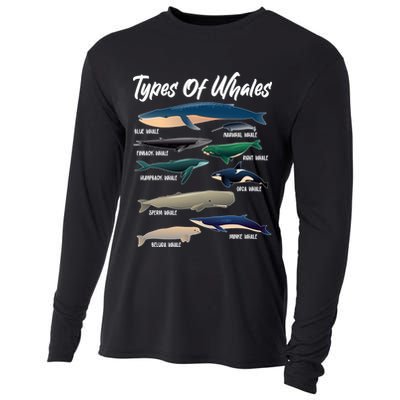 Types Of Whales Cooling Performance Long Sleeve Crew