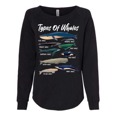 Types Of Whales Womens California Wash Sweatshirt