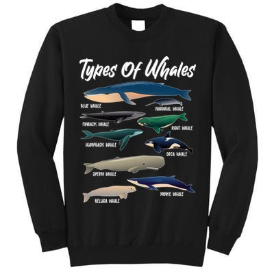Types Of Whales Tall Sweatshirt