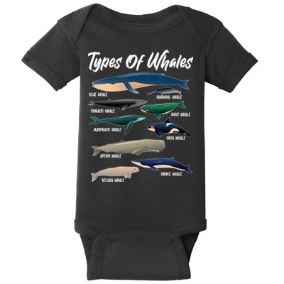 Types Of Whales Baby Bodysuit