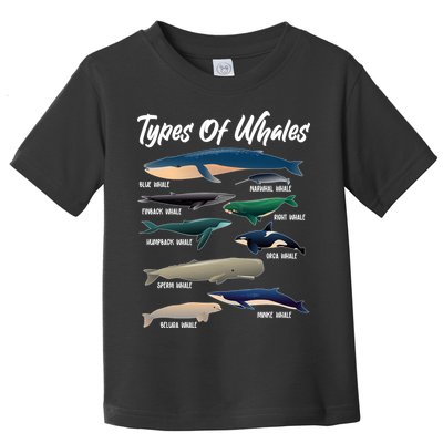 Types Of Whales Toddler T-Shirt