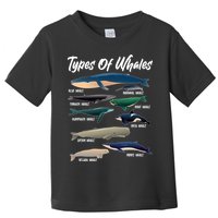 Types Of Whales Toddler T-Shirt
