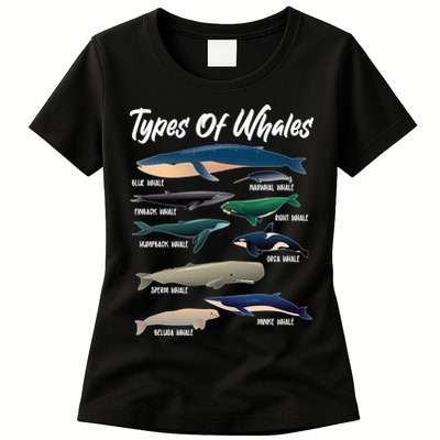 Types Of Whales Womens T-Shirt