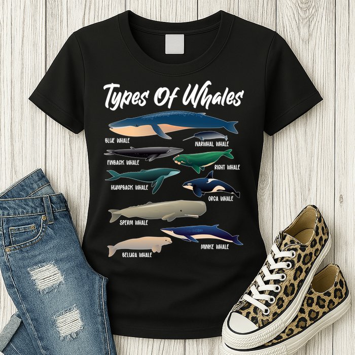 Types Of Whales Womens T-Shirt