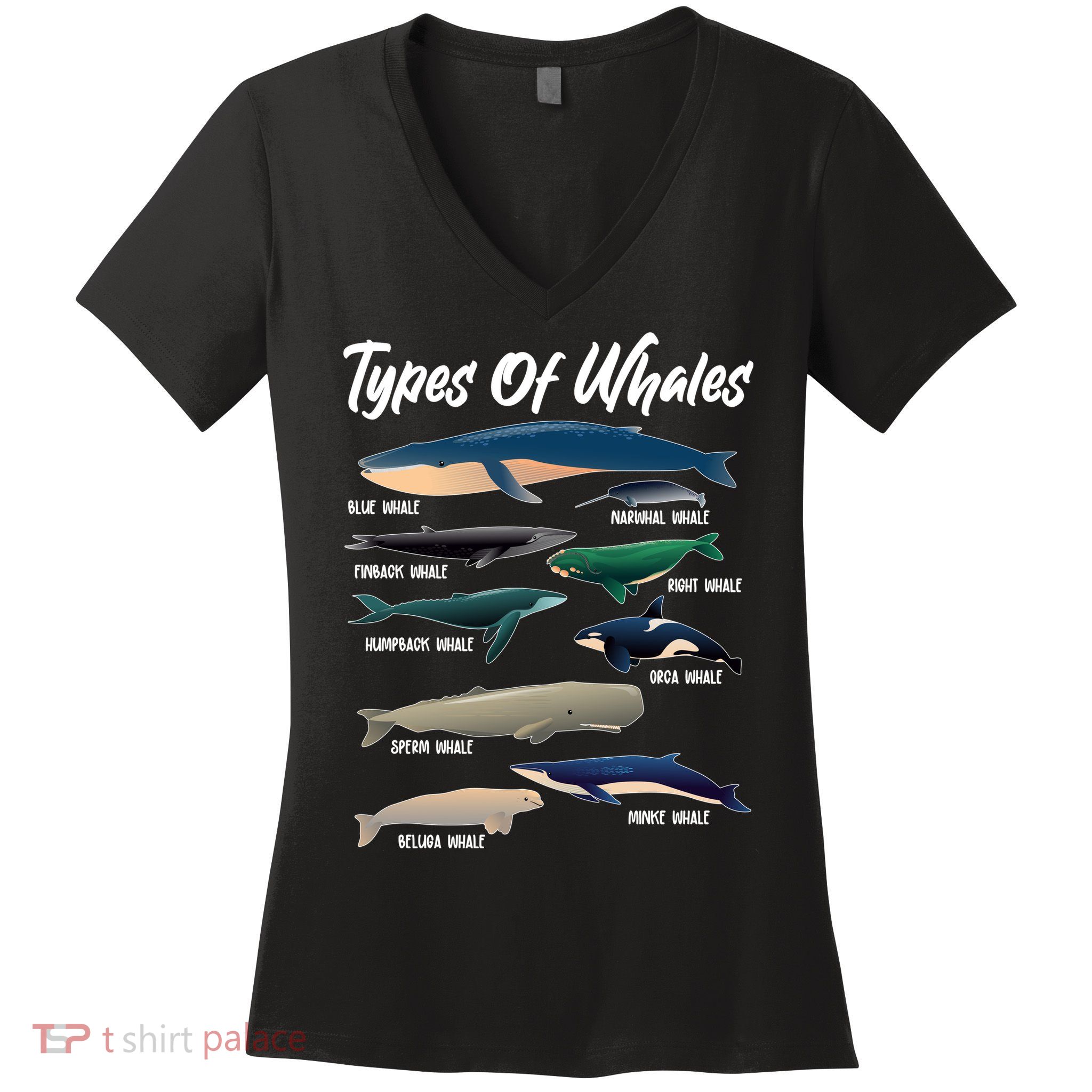 Types Of Whales Women's V-Neck T-Shirt