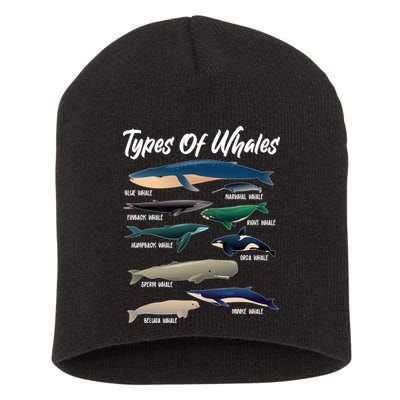 Types Of Whales Short Acrylic Beanie