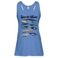 Types Of Whales Ladies Essential Flowy Tank