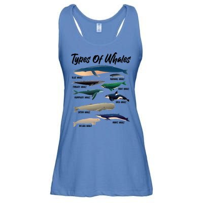 Types Of Whales Ladies Essential Flowy Tank