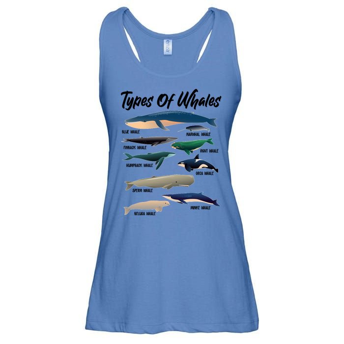 Types Of Whales Ladies Essential Flowy Tank