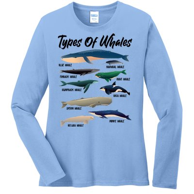 Types Of Whales Ladies Long Sleeve Shirt