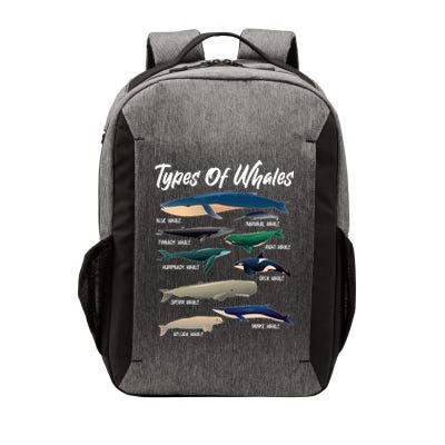 Types Of Whales Vector Backpack