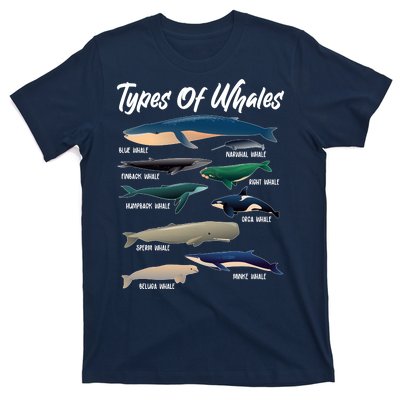 Types Of Whales T-Shirt