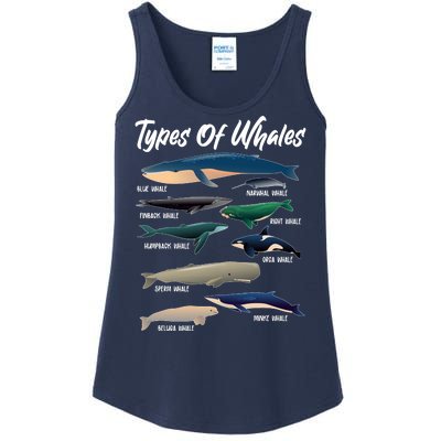 Types Of Whales Ladies Essential Tank