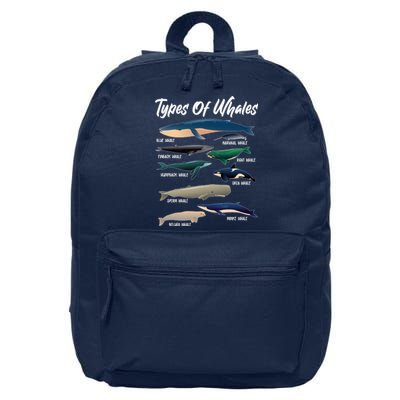 Types Of Whales 16 in Basic Backpack