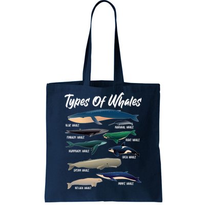 Types Of Whales Tote Bag