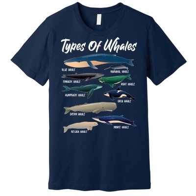 Types Of Whales Premium T-Shirt