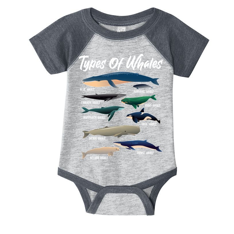Types Of Whales Infant Baby Jersey Bodysuit