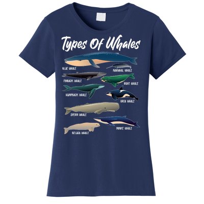 Types Of Whales Women's T-Shirt