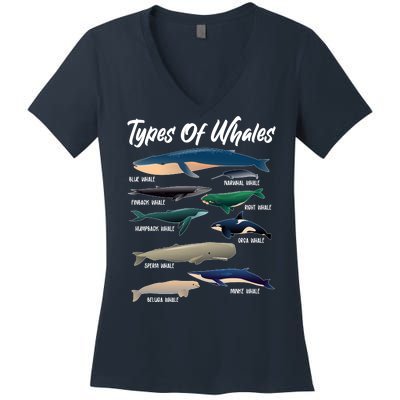 Types Of Whales Women's V-Neck T-Shirt