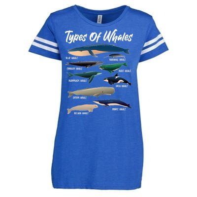 Types Of Whales Enza Ladies Jersey Football T-Shirt