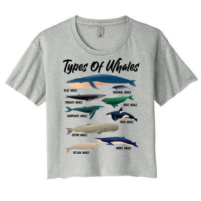 Types Of Whales Women's Crop Top Tee