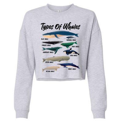 Types Of Whales Cropped Pullover Crew