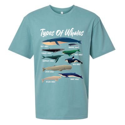 Types Of Whales Sueded Cloud Jersey T-Shirt