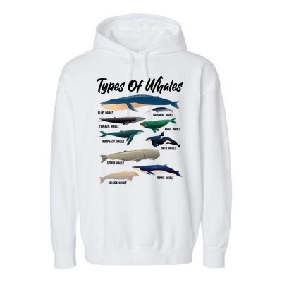 Types Of Whales Garment-Dyed Fleece Hoodie