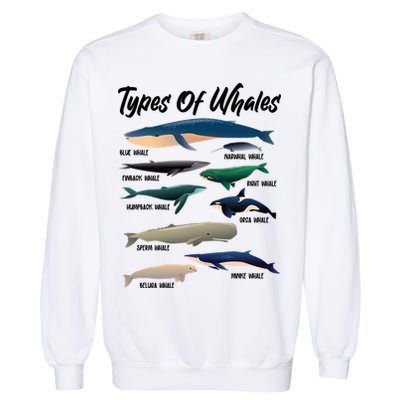 Types Of Whales Garment-Dyed Sweatshirt