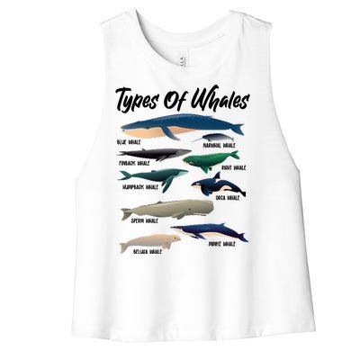 Types Of Whales Women's Racerback Cropped Tank