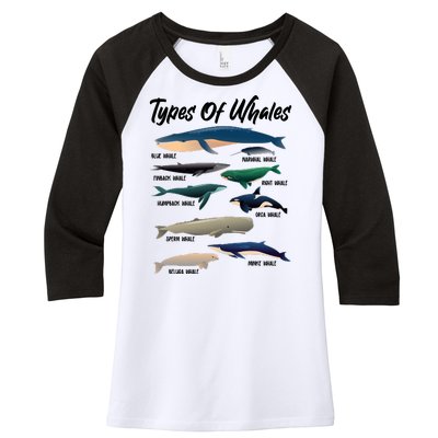 Types Of Whales Women's Tri-Blend 3/4-Sleeve Raglan Shirt