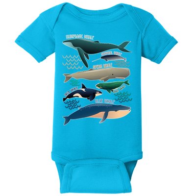 Types Of Whales Save The Whales Baby Bodysuit