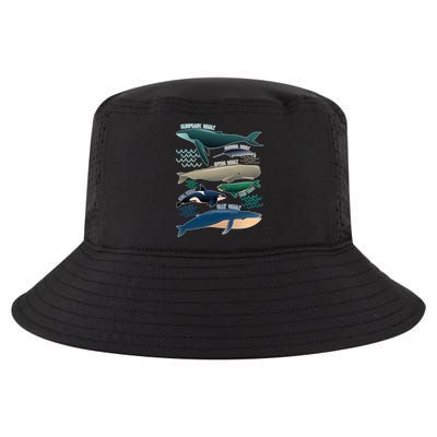 Types Of Whales Save The Whales Cool Comfort Performance Bucket Hat