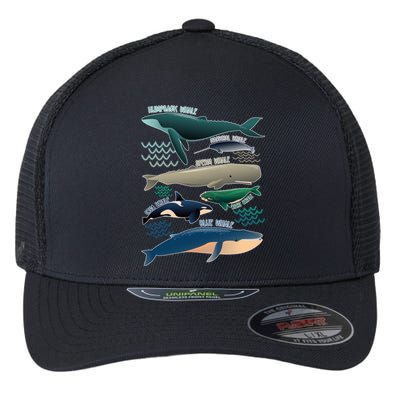 Types Of Whales Save The Whales Flexfit Unipanel Trucker Cap