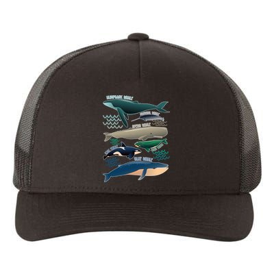 Types Of Whales Save The Whales Yupoong Adult 5-Panel Trucker Hat