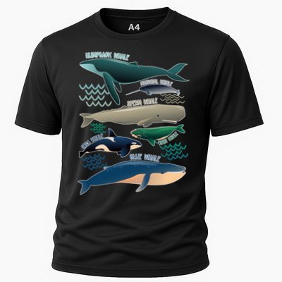 Types Of Whales Save The Whales Performance Shirt