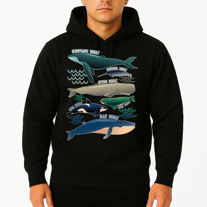 Types Of Whales Save The Whales Hoodie