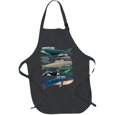 Types Of Whales Save The Whales Apron