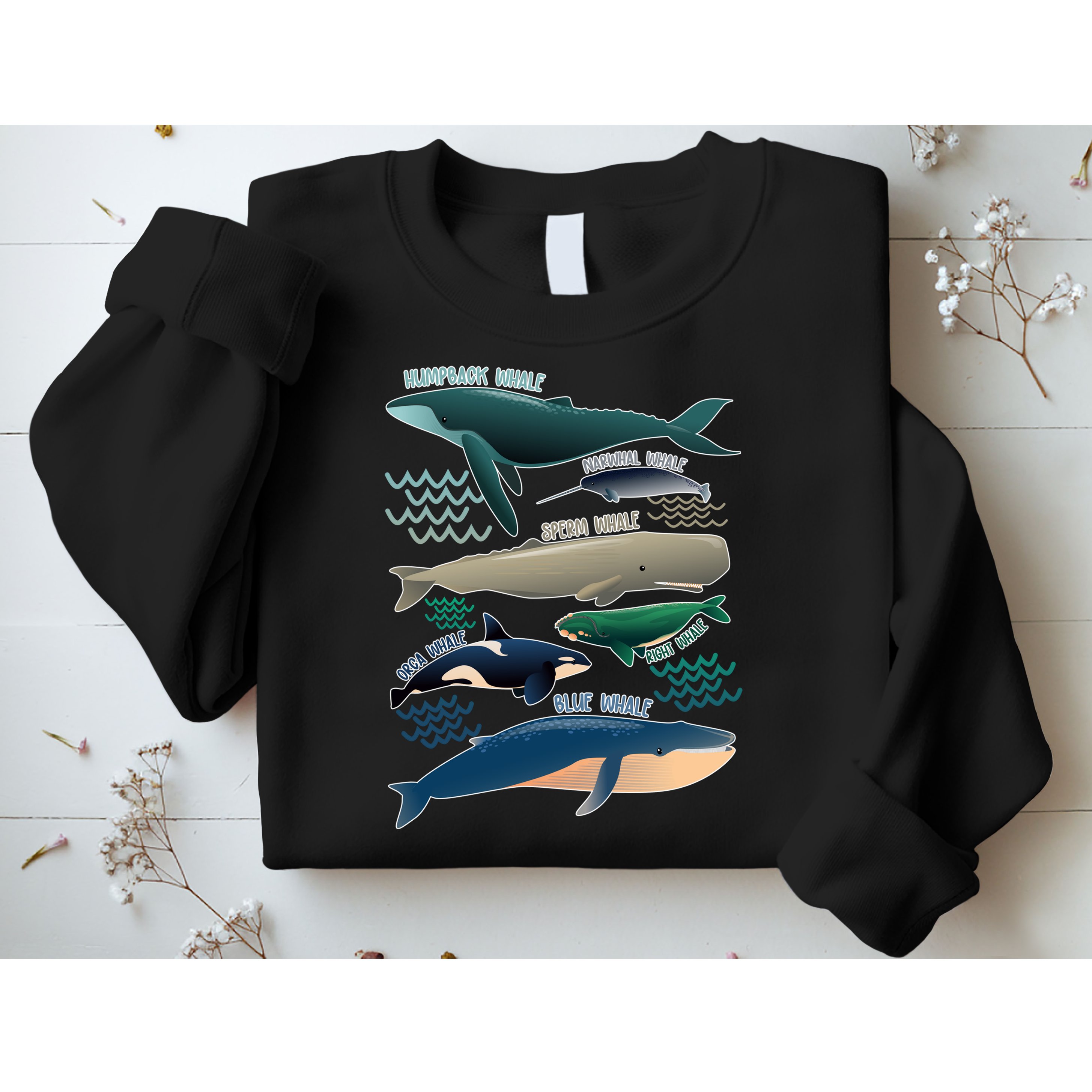 Types Of Whales Save The Whales Sweatshirt
