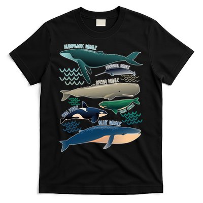 Types Of Whales Save The Whales T-Shirt