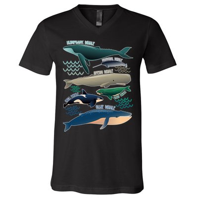 Types Of Whales Save The Whales V-Neck T-Shirt