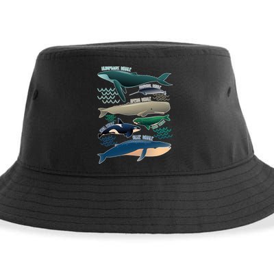 Types Of Whales Save The Whales Sustainable Bucket Hat