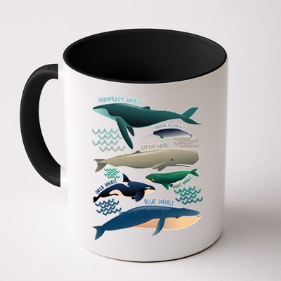 Types Of Whales Save The Whales Mug