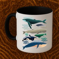 Types Of Whales Save The Whales Mug