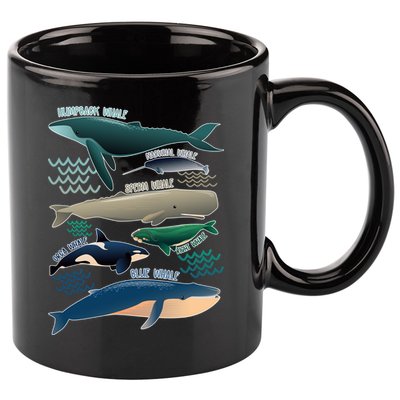 Types Of Whales Save The Whales 11oz C Handle Ceramic Mug