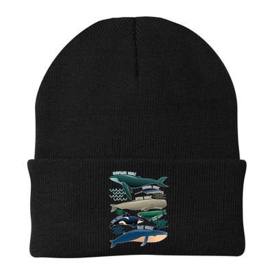 Types Of Whales Save The Whales Beanie