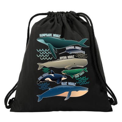 Types Of Whales Save The Whales Drawstring Bag