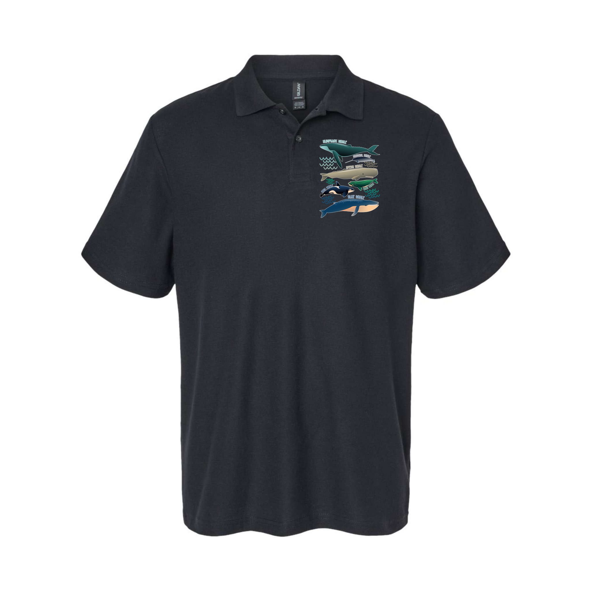Types Of Whales Save The Whales Polo
