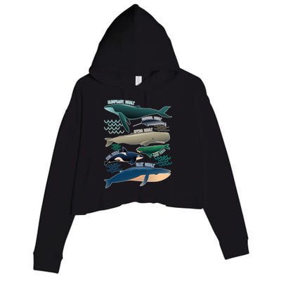 Types Of Whales Save The Whales Crop Fleece Hoodie