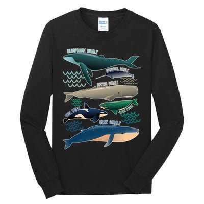 Types Of Whales Save The Whales Tall Long Sleeve T-Shirt